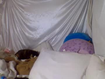 girl
        ari_02 cam image #101236